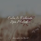 Calm & Delicate Spa Melodies