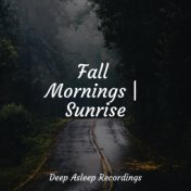 Fall Mornings | Sunrise