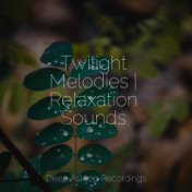 Twilight Melodies | Relaxation Sounds