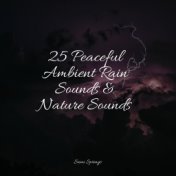 25 Peaceful Ambient Rain Sounds & Nature Sounds