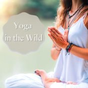 Yoga in the Wild: Nature Sounds Prana Healing Yoga Music