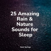 25 Amazing Rain & Nature Sounds for Sleep