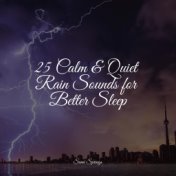 25 Calm & Quiet Rain Sounds for Better Sleep