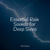 Essential Rain Sounds for Deep Sleep