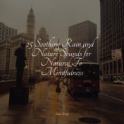 25 Soothing Rain and Nature Sounds for Natural To Mindfulness