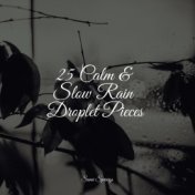 25 Calm & Slow Rain Droplet Pieces