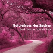 Naturalness Has Spoken: Best Nature Sounds Mix