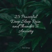 25 Powerful Deep Sleep Rain and Thunder To Anxiety