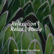 Relaxation | Relax | Study