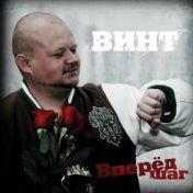 Винт