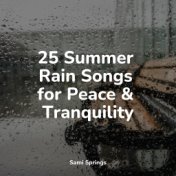 25 Summer Rain Songs for Peace & Tranquility