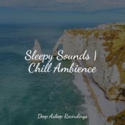 Sleepy Sounds | Chill Ambience