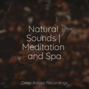 Natural Sounds | Meditation and Spa