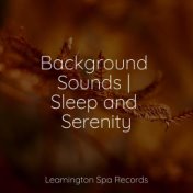 Background Sounds | Sleep and Serenity