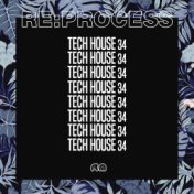 Re:Process: Tech House, Vol. 34