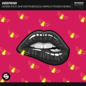 Desire (feat. She Keeps Bees) (Olympis Extended Remix)