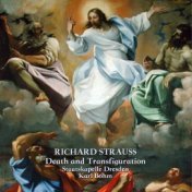 Strauss: Death and Transfiguration
