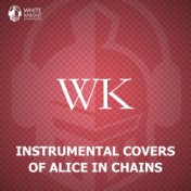Instrumental Covers of Alice in Chains
