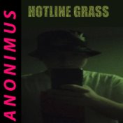 Hotline Grass