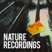 Nature Recordings