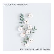 Natural Soothing Noises for Deep Sleep and Relaxation