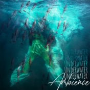 Underwater Ambience: The Sounds of Dolphins and Whales