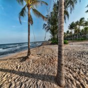Zen by the Beach | Sand, Vitamin, Serotonin, Mindfulness, Wellness