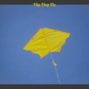 Flip Flop Fly