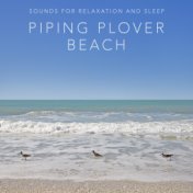 Piping Plover Beach (Sounds for Relaxation and Sleep)