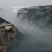 Nature Sounds Compilation for Relaxation and Cultivating Body and Mind Comfort (New Age Music)