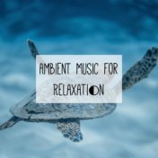 Ambient Music for Relaxation