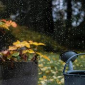 30 Stress Relieving Rain Sounds from Nature