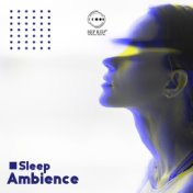 Sleep Ambience: Music with Rain, Birds Chirping and Other Sounds of Nature for Sleeping