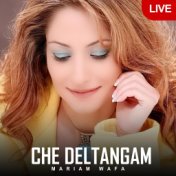 Che Deltangam (Live)