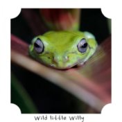 Wild little Willy