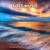 #01 Soft Music for Napping, Stress Relief, Relaxing, to Meditate To