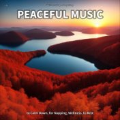 #01 Peaceful Music to Calm Down, for Napping, Wellness, to Rest