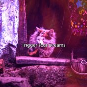 Trigger Your Dreams