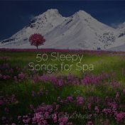 50 Sleepy Songs for Spa
