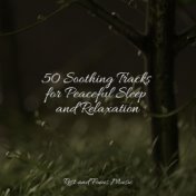 50 Soothing Tracks for Peaceful Sleep and Relaxation