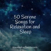 50 Serene Songs for Relaxation and Sleep