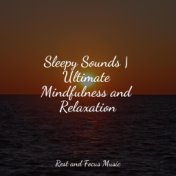 Sleepy Sounds | Ultimate Mindfulness and Relaxation