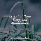 Essential Deep Sleep and Mindfulness