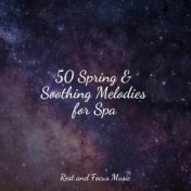 50 Spring & Soothing Melodies for Spa