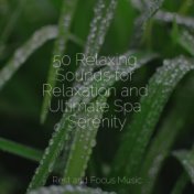 50 Relaxing Sounds for Relaxation and Ultimate Spa Serenity