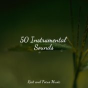 50 Instrumental Sounds