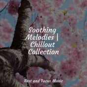 Soothing Melodies | Chillout Collection