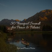 50 Tranquil Sounds for Peace & Pilates
