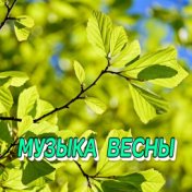 МУЗЫКА ВЕСНЫ