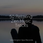 50 Relaxing Zen Music Tracks